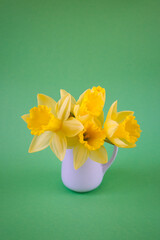 White vase with yellow daffodils on a green background copy space