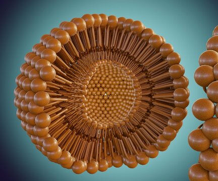 A liposome is a small artificial vesicle, spherical in shape 3d rendering