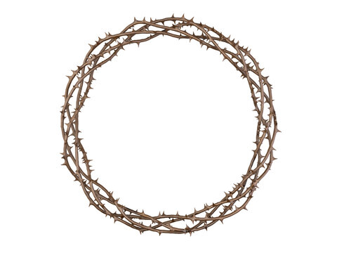 Crown Of Thorns