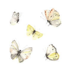 Set of cute abstract butterflies, watercolor isolated illustration for your design.