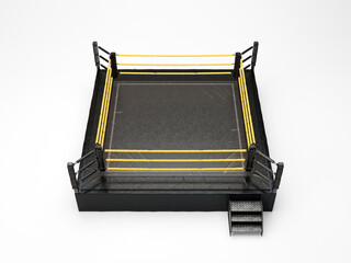 Modern Regulation Wrestling Ring