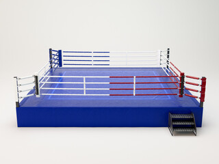 Modern Oversized Boxing Ring