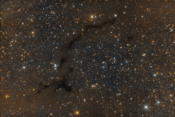 Seahorse Nebula (Barnard 150)