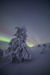 Northern lights in Pallas Yllastunturi National Park, Lapland, Finland