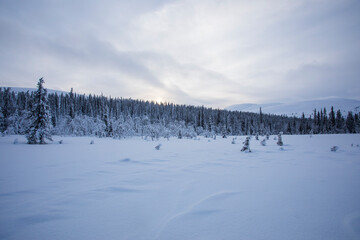 Winter landscape in Pallas Yllastunturi National Park, Lapland, Finland