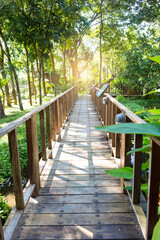Fototapeta na wymiar Wooden bridge in the forest with vintage warm light, walking path in tropical forest, tropical garden in Thailand