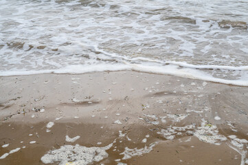 Sea tide with waves on the sand beach with a algae