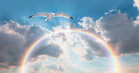 Seagull flying over rainbow with white clouds and blue sky