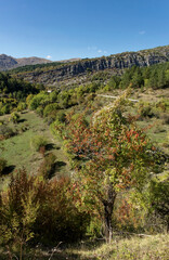 Griechenland - Zagoria - allgemein