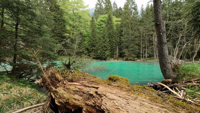 Amola Lakes in Summer