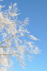 zima, śnieg, mróz, Beskidy, góry, krajobraz, przeziębienie, drzew, droga, niebo, biała, lodu, góra, pora roku, błękit, 