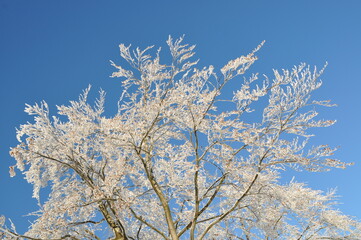 zima, śnieg, mr&oacute;z, Beskidy, g&oacute;ry, krajobraz, przeziębienie, drzew, droga, niebo, biała, lodu, g&oacute;ra, pora roku, błękit, 