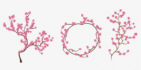 vector cherry blossom, sakura branch with pink flowers