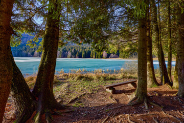 Beautiful landscape with St. Ana Lake in Romania, volcanic lake in December. © czamfir