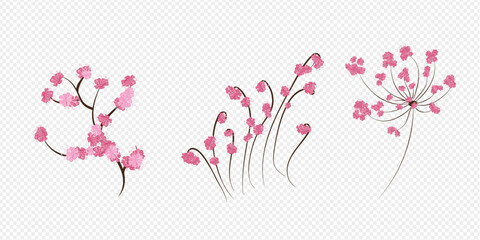 vector cherry blossom, sakura branch with pink flowers