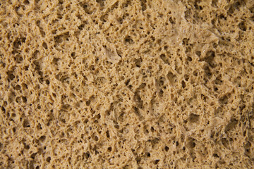Texture of porous rye sourdough dough