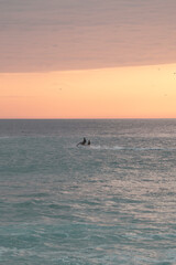 Fototapeta premium surfer at sunset