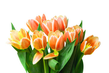 Closeup of a fresh beautiful red yellow tulips bouquet isolated on a white background. Clipping path. Spring, valentine, mothers or wedding day card. Macro.