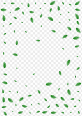 Greenish Vegetation Background Transparent Vector. Greenery Style Texture. Figure Design. Green Watercolor Frame. Sheet Banner.