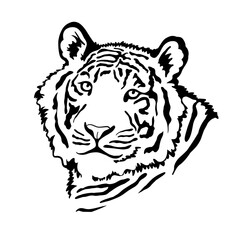 Tiger portrait head isolated on white background. Template. Close-up. Clip art. Hand Painting. Ink	