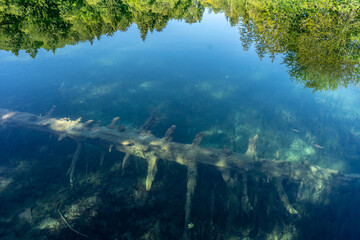 Plitvice National Park, where the beautiful natural environment is well preserved
