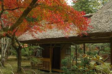 紅葉期の九年庵