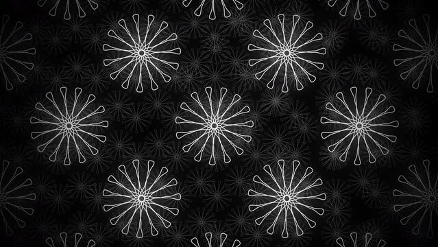 Looping animation seamless pattern black and white flowers motion design background. 4K video