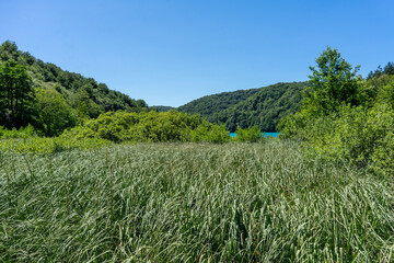 Obraz premium Plitvice National Park, where the beautiful natural environment is well preserved