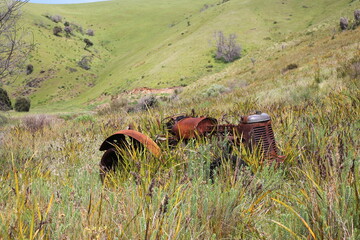 horse in the mountains