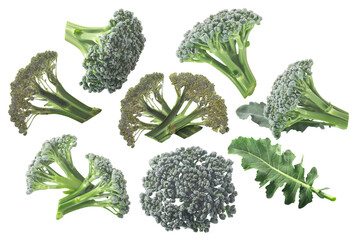Broccoli, flower heads (Brassica oleracea var. italica) with leaf, raw and flattened dried, ...