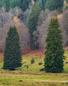 Valley Wental in south germany Baden-w&uuml;rttemberg in autumn