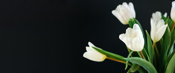 White tulip flowers isolated on black background close-up. Side view of beautiful bouquet. Valentines day, Mothers day, Womens day. Banner. Text place. Mockup design. Gift certificate. Greeting card