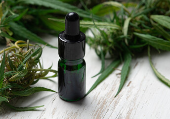 CBD oil hemp products,Flower bud of cannabis Satival,Plant of marijuana medical use with a high content of CBD on wood background