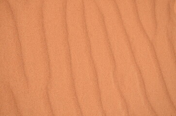 desert sand