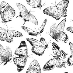 Flying butterflies. Seamless pattern with hand drawn digital sketch illustrations