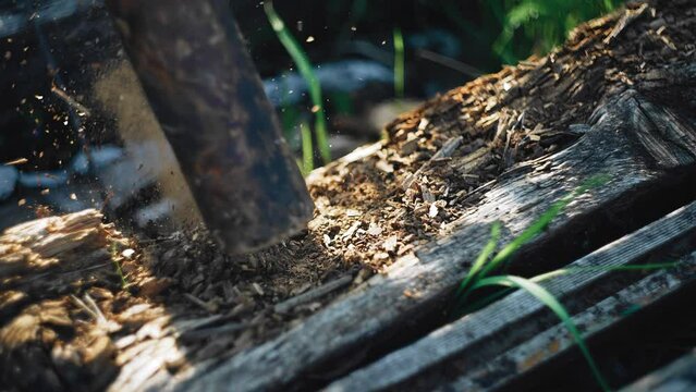 The guy breaks a rotten log with a wooden bat. Close-up in slow motion