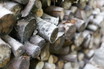 closeup of a staple of old outdoor tree branches with barks and cobwebs