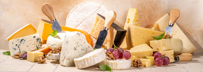 Different sorts of cheese