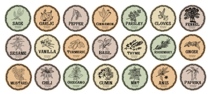 Square Spice Labels for Indian Spices - 44 South Asian Spice Jar Labels  Stickers - Kitchen Pantry Labels for Spice Jars - Spice Organization Herb