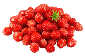 wild Strawberry isolated on white background, clipping path, full depth of field