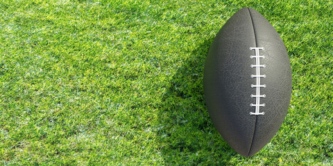 Obraz premium American football on a lush green grassy field