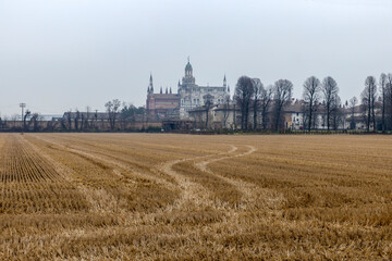 Fototapeta na wymiar View on the background of the Certosa of Pavia, the Monastery of Santa Maria delle Grazie, the historical monumental complex including a monastery and a sanctuary, near Pavia, Lombardy, Italy