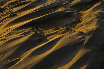 冬の鳥取砂丘とその紋様 鳥取県 鳥取砂丘