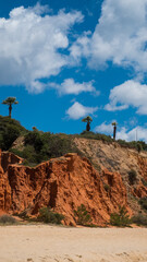 Cliff in Algarve beach