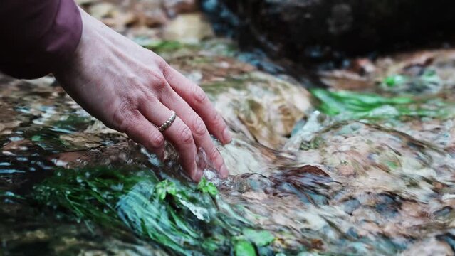 Hand of girl touches the water of a stream. Young hiker with ring wets his hand with cold water of a small mountain stream. Contact with nature, emotions and strong sensations.