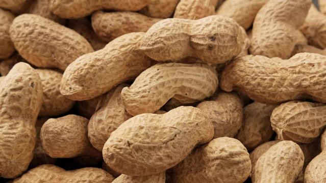 Peanuts in shell falling on black table. Pile of roasted peanuts in shell. Healthy nutrition concept. Organic food. Close-up in 4K, UHD