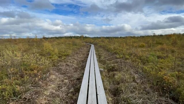 Hyperlapse of trail in Store Mosse national park located in Jönköping county, Småland, Sweden. Path on wooden planks in the middle of a vast peat bog with a few pines along the way.