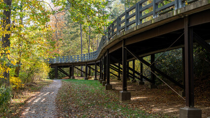 Elevated Roadway in the Autumn Woods