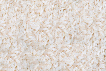 Uncooked white rice background. Uncooked raw cereals. Texture. Close-up. 