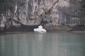 Fototapeta premium Baie d'Halong - Viet Nam